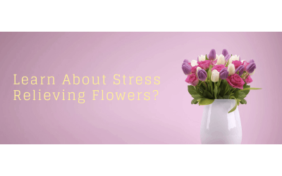 Shoo Away Stress with Flowers